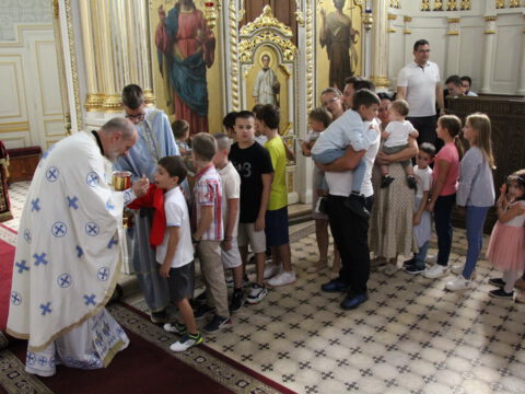 IMG_0510_resize_resize