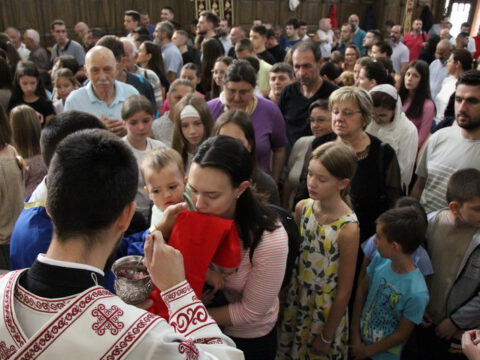 IMG_0515_resize_resize