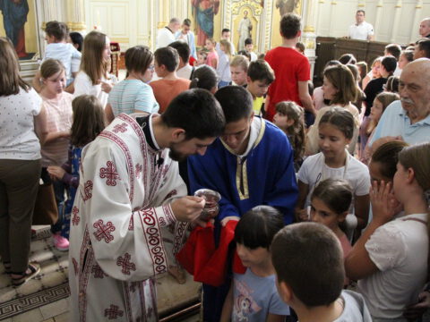 IMG_0517_resize_resize