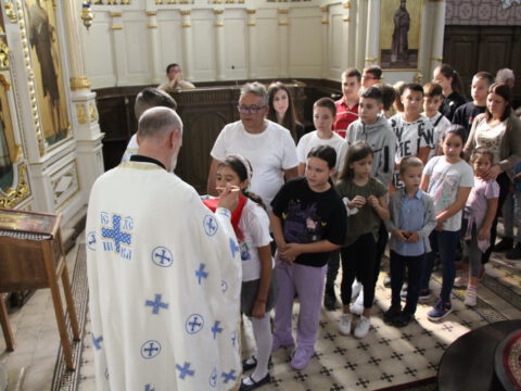 IMG_0523_resize_resize