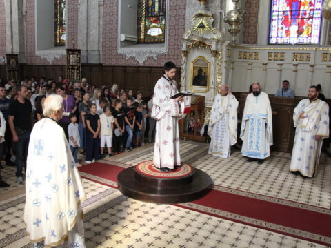 IMG_0539_resize_resize