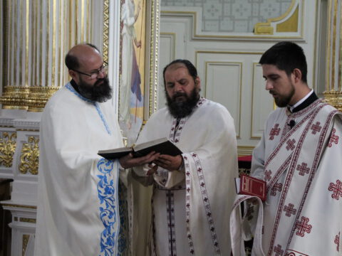 IMG_0547_resize_resize