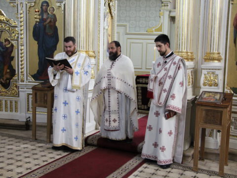 IMG_0550_resize_resize