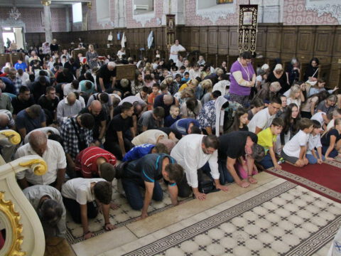 IMG_0553_resize_resize