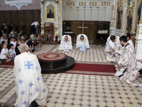 IMG_0555_resize_resize