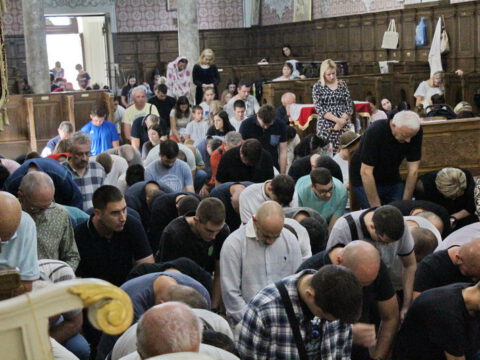 IMG_0557_resize_resize