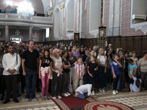 IMG_0559_resize_resize