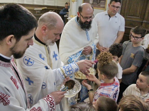 IMG_0563_resize_resize