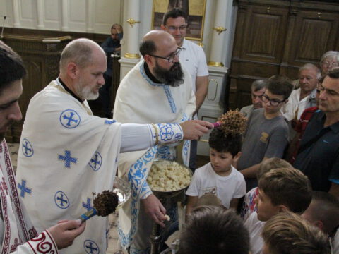 IMG_0564_resize_resize