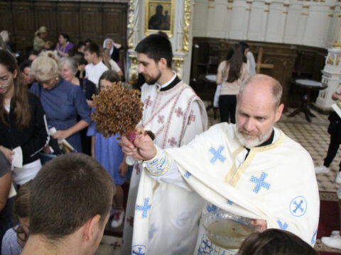 IMG_0581_resize_resize