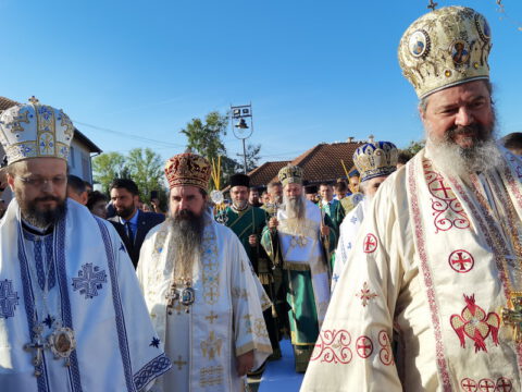 IMG_20230910_082212_resize