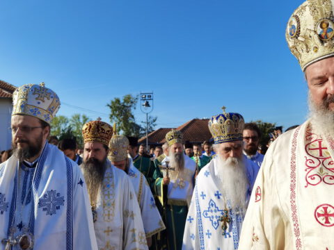 IMG_20230910_082214_resize