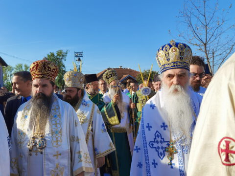 IMG_20230910_082227_resize