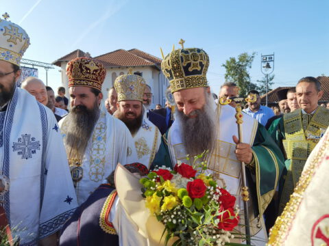 IMG_20230910_082302_resize