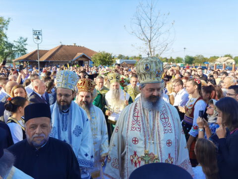 IMG_20230910_082345_resize