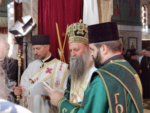 IMG_20230910_082555_resize