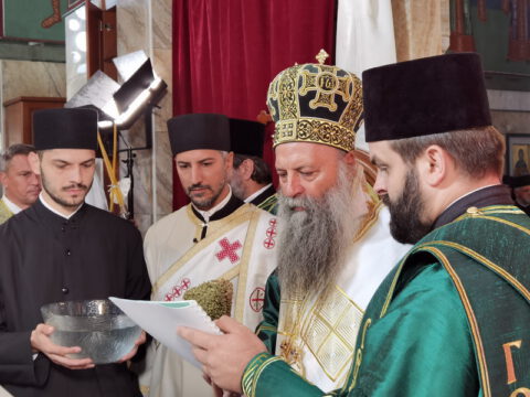 IMG_20230910_082603_resize