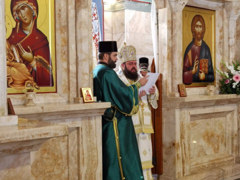 IMG_20230910_082922_resize