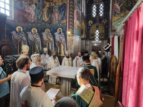 IMG_20230910_083251_resize