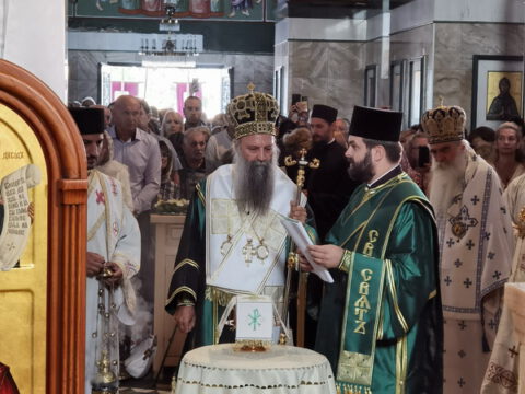 IMG_20230910_083511_resize