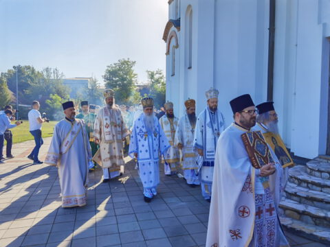 IMG_20230910_084303_resize