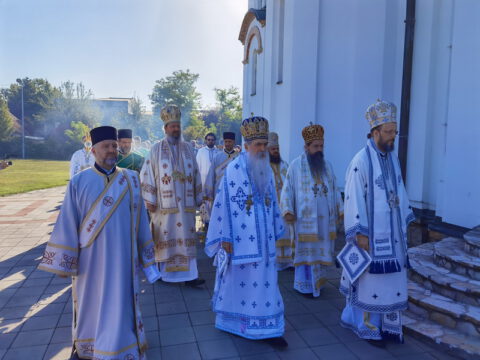 IMG_20230910_084305_resize