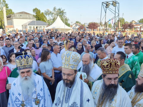 IMG_20230910_084358_resize