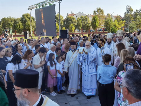 IMG_20230910_085323_resize