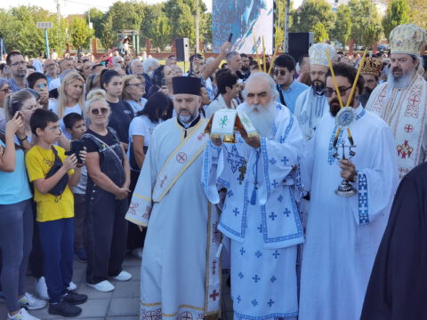 IMG_20230910_085330_resize