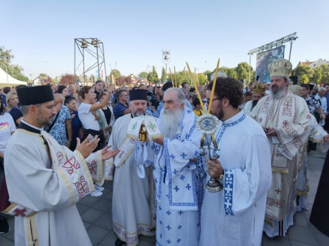 IMG_20230910_085336_resize