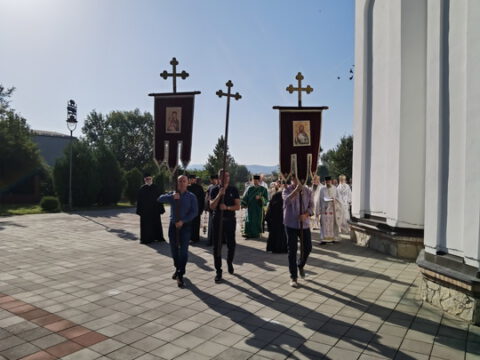 IMG_20230910_085523_resize