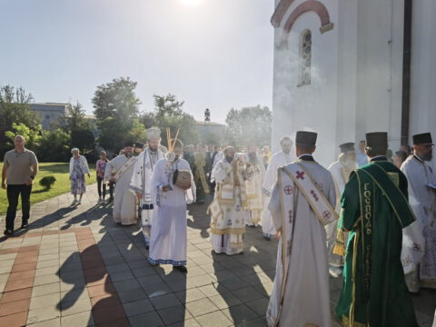 IMG_20230910_085550_resize