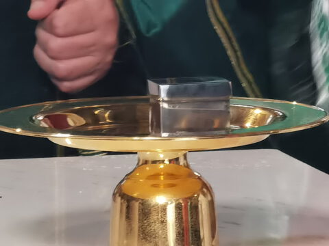 IMG_20230910_090321_resize