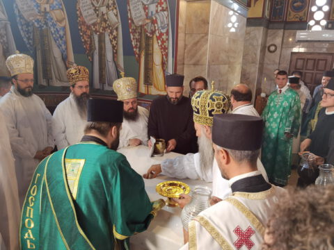 IMG_20230910_090408_1_resize