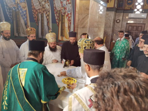 IMG_20230910_090408_resize