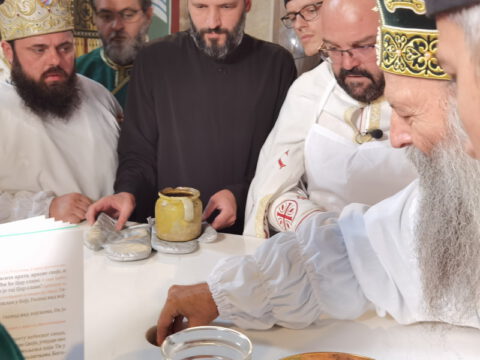 IMG_20230910_090421_resize