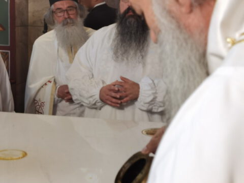 IMG_20230910_091222_resize