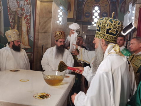 IMG_20230910_091240_resize