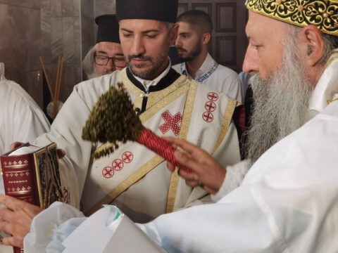 IMG_20230910_091530_resize