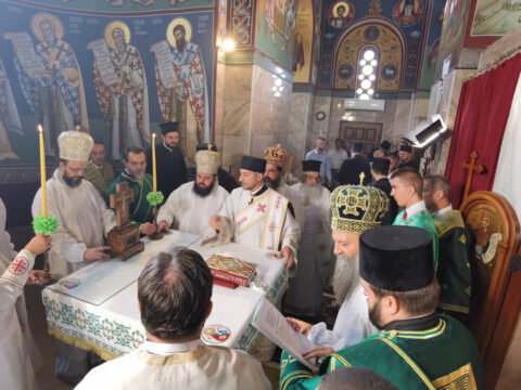 IMG_20230910_091551_resize