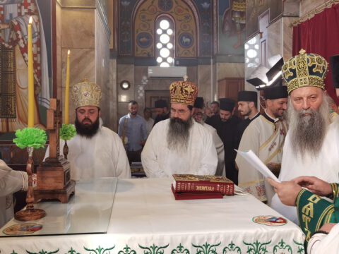 IMG_20230910_091617_resize