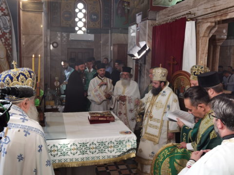 IMG_20230910_091656_resize