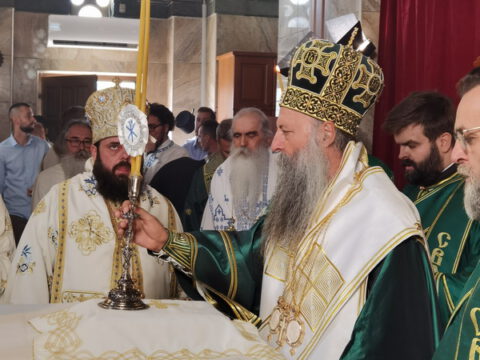 IMG_20230910_092658_resize