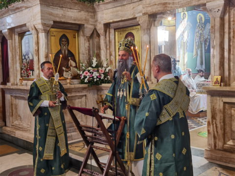 IMG_20230910_094523_resize