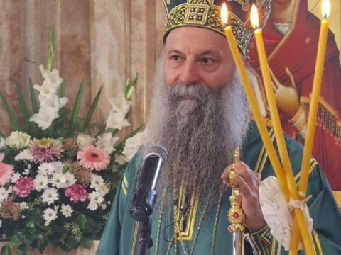 IMG_20230910_094540_resize