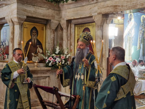 IMG_20230910_094958_resize