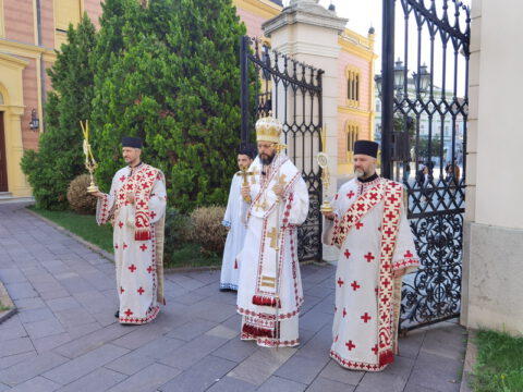 IMG_20230927_085530_resize