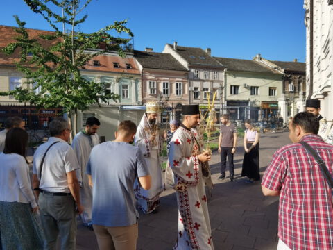 IMG_20230927_085604_resize