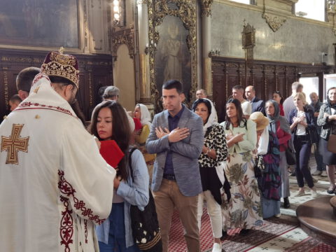 IMG_20230927_103656_resize