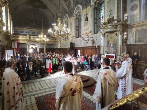 IMG_20230927_104529_resize